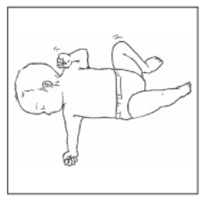 選択肢2